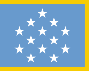 Medal of Honor Flag with Gold Fringe