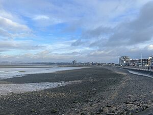 Morecambebeachjan2024.jpg