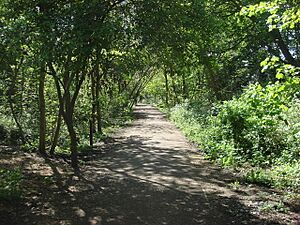 Parkland Walk - geograph.org.uk - 1586957