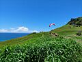 Pat Morton Lookout Dec 2024-2