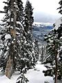 Powder King 2017