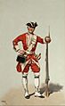 Private man, 40th 1742