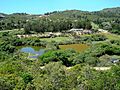 Reserva de Flora y Fauna del Pan de Azúcar