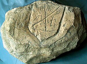 Shield runic