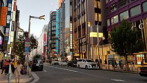 Shinjuku shopping street1