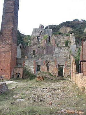Silica bunkers at Porth Wen Brick Works - geograph.org.uk - 1104879
