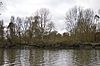 Syon Park SSSI from the Thames Path 12.JPG