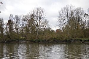 Syon Park SSSI from the Thames Path 12