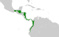 Thamnistes anabatinus map