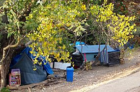 Housing Logistics and Interim Shelter