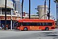 The Passport (Free Bus)