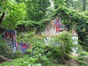 The Ruins