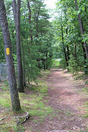 Trail in Shikellamy State Park
