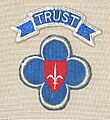 Trieste United States Troops shoulder patch