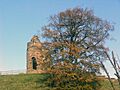 Tutbury Castle - geograph.org.uk - 76951
