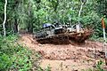 US Army Stryker undergoing jungle tropical environment testing