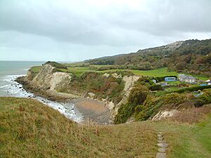 Undercliff woodybay 2008