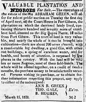 Valuable Plantation and Negroes for Sale 2