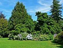 VanDusen Botanical Garden 4