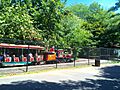 Van Saun Park Train