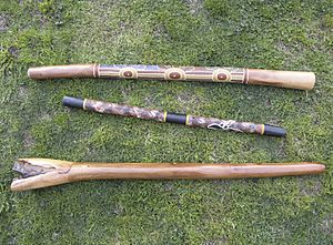Various Types of Didgeridoo