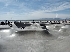Venice Beach Skatepark P4070293