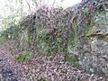 Waldron Cutting (4)