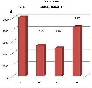 Łobez - demografia, 31.12.2014 r.