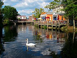 2010 09 Westerly Pawcatuck River swan