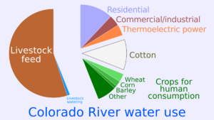 20230522 Colorado River water usage - livestock crops etc