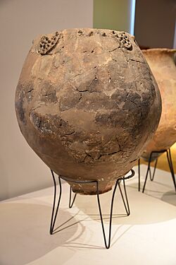 A terracotta Kvevri used to ferment and age wine decorated with depictions of bunches of grapes, First half of the 6th millennium BC, from Khramis Didid Gora, National Museum of Georgia, Tbilisi, Georgia