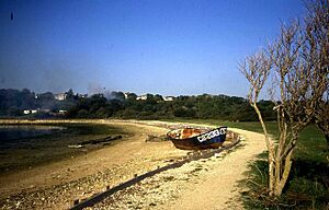 Abandoned boat near The Causeway at St Helens - geograph.org.uk - 478477