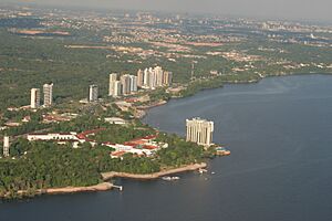 Amazonia fotos aérea região de Manaus 2005 AM Brasil - panoramio (8)