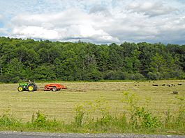 Baling hay in Vermont