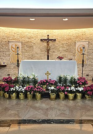 Basement Chapel - St John Kingsbridge