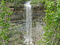 Borer's Falls