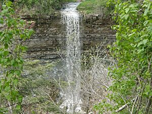 Borer's Falls.jpg