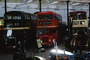 Bus lineup, Bury Transport Museum, 5 April 2012