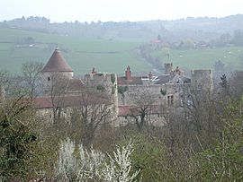 Chateau of Rochefort