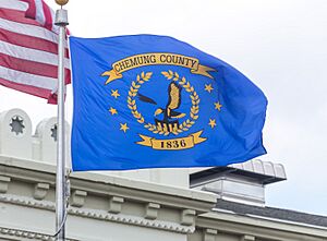 Chemung County Flag