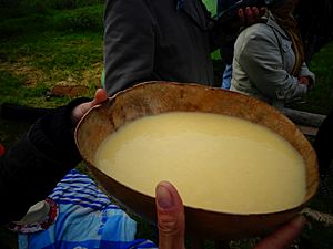 Chicha - Fiesta del Huán - Templo del Sol - Suamox - Boyacá - Colombia