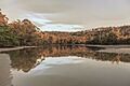 Cockle Creek Tasmania by Aldona Kmiec Photography