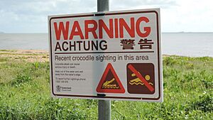 Crocodile warning sign, Bramston Beach, 2018