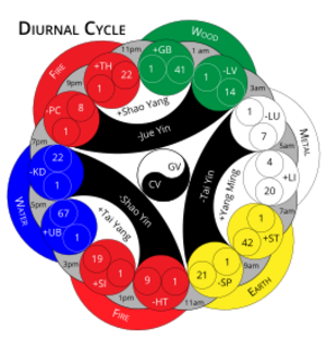 Diurnal Cycle