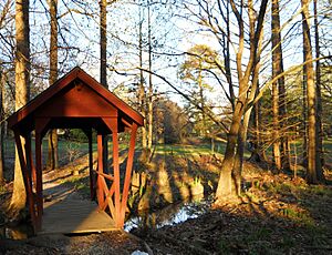 Donald E. Davis Arboretum footbridge 2011 DSCN5480