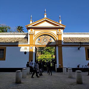 Entrada al Palacio de las Dueñas, Sevilla
