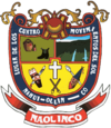 Official seal of Naolinco