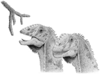 Euhelopus zdanskyi.png