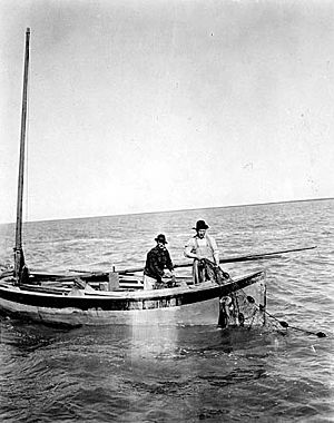 Fishermen gillnetting in the Nushagak River, Alaska, 1917 (COBB 288)