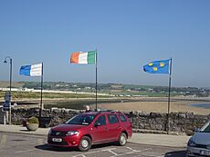 Flags of Waterford, Ireland, Munster